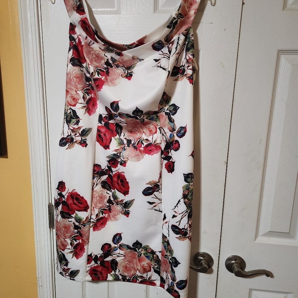 New Dress - Size 1X